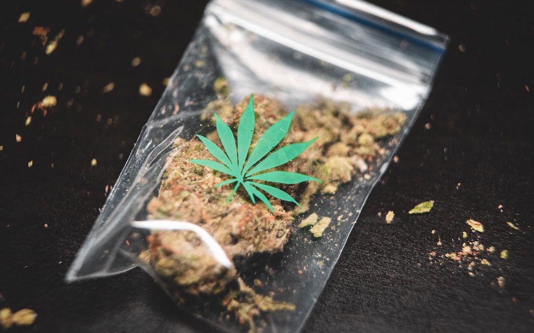 Ziploc bag with cannabis bud inside